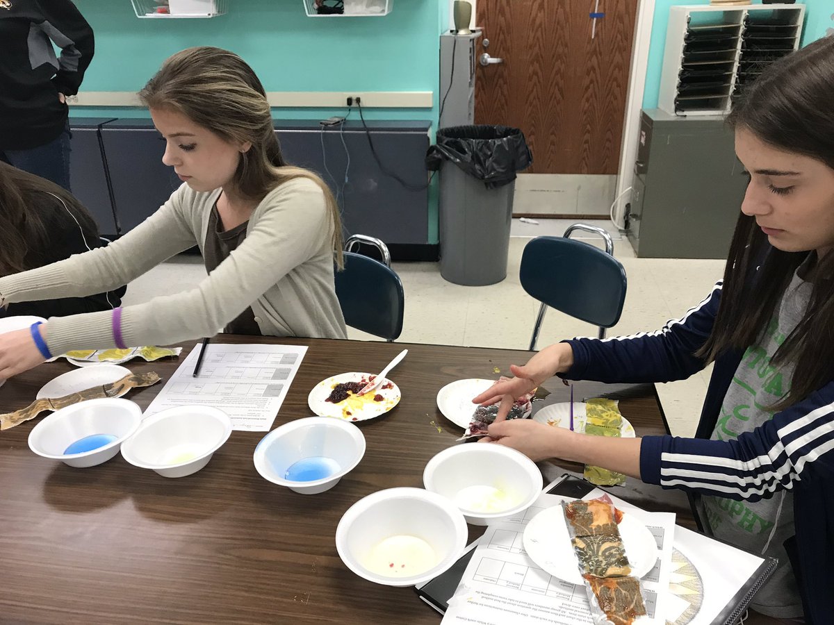 MrsHuskeysFACS's tweet photo. Stain removal lab! 🧼🧺🚰 #familyandconsumersciences  @HHSAdminteam https://t.co/WVOJeuT2f6