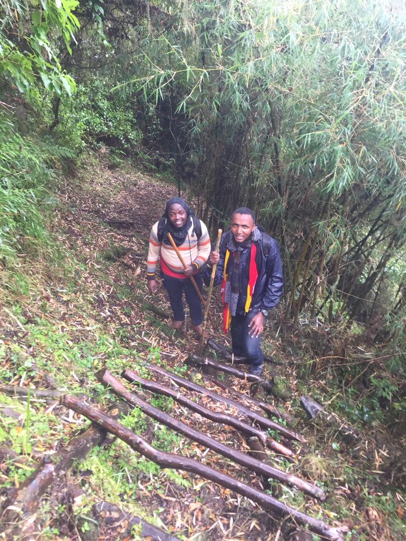 alzaidvictor's tweet photo. This is what Teni meant in the lyrics "You can climb the mountain top if u work hard" 😂 https://t.co/65qpN8FIqH