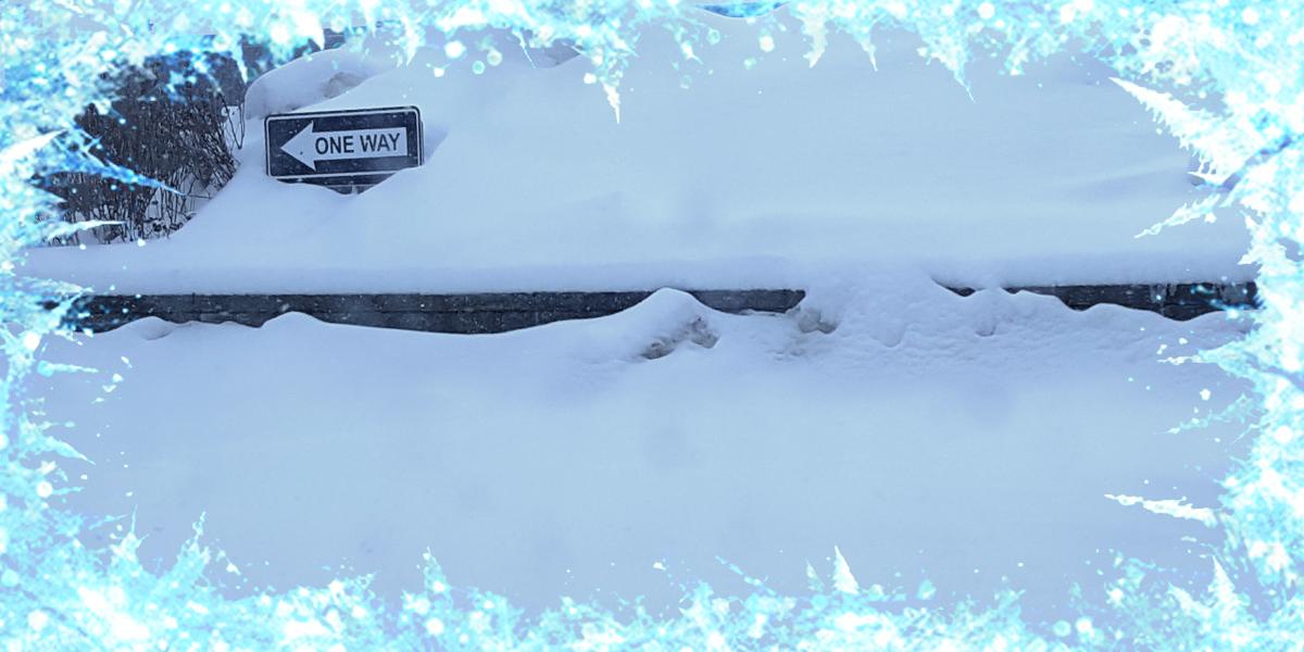Wow, talk about winter weather! Here's what the SinaLite parking lot looks like right now. What's the weather like where you are? #SinaLife #torontoweather #SnowDay #cold #wednesdaythoughts  ❄️❄️❄️bit.ly/2U6276e