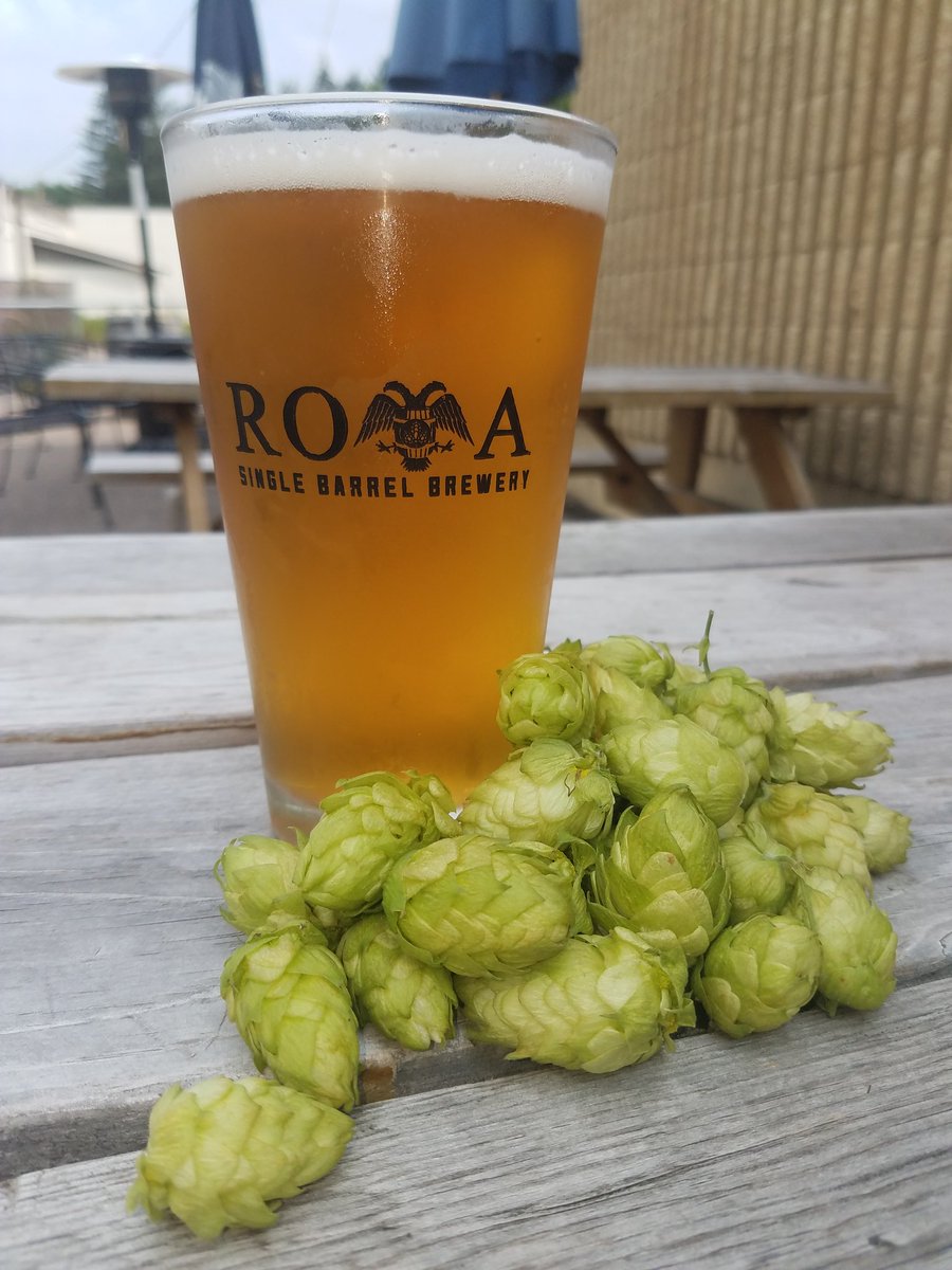 Pils lite on tap. Our newest addition. Come try one.