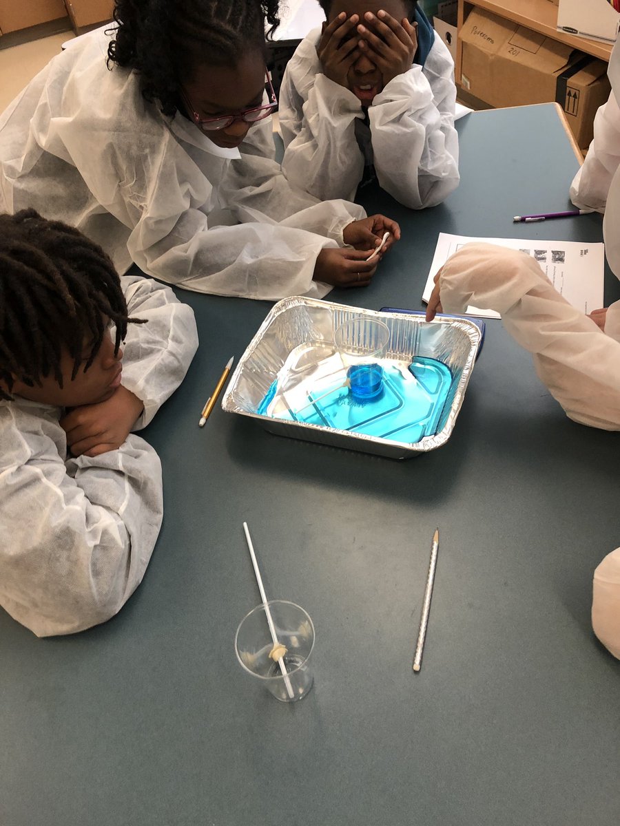 apoveromo1's tweet photo. 5th grade scientists had to see the different between clogged arteries and healthy arteries. We were doctors for the day to determine solutions to help unclogg our arteries and get rid of plaque from the. @Teachertew @FHGES @BoniPHall @BarbaraUssary https://t.co/NYMzSU44o3