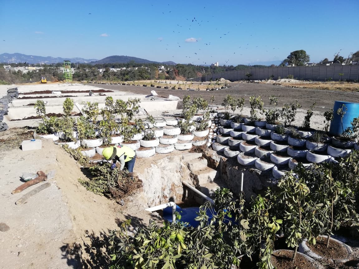 muniguate's tweet photo. 🌳Como parte de los proyectos ambientales del relleno, un total de 28,802m2 de área ha sido recuperados logrando su reforestación con más de mil árboles sembrados y la implementación de un programa de compostaje. ♻   

#GuatemalaValeLaPena 
#MuniGuate https://t.co/iZtHX8XmNB