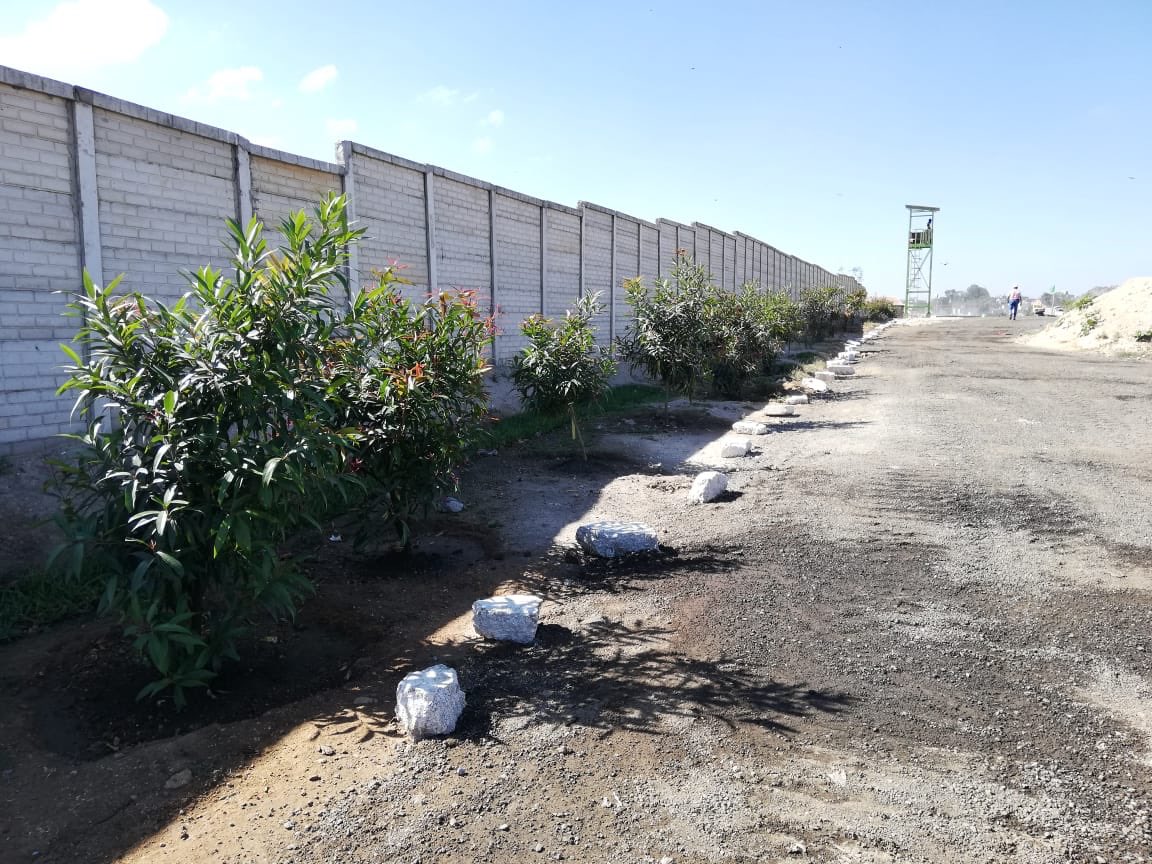 muniguate's tweet photo. 🌳Como parte de los proyectos ambientales del relleno, un total de 28,802m2 de área ha sido recuperados logrando su reforestación con más de mil árboles sembrados y la implementación de un programa de compostaje. ♻   

#GuatemalaValeLaPena 
#MuniGuate https://t.co/iZtHX8XmNB
