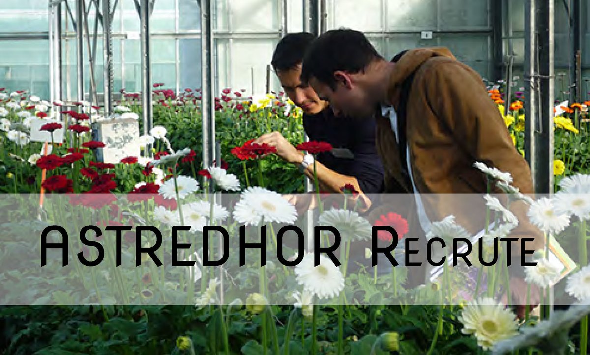 astredhor's tweet photo. [#Recrutement 👀] ASTREDHOR Seine-Manche recrute en #CDI un/e responsable d'expérimentation sur sa station de Saint Germain en Laye https://t.co/DhzKk6Q1Mn #i4emploi #horticulture #Emploi #Recherche #SIA2019 @agrocampusouest https://t.co/D6eW7hjAYy