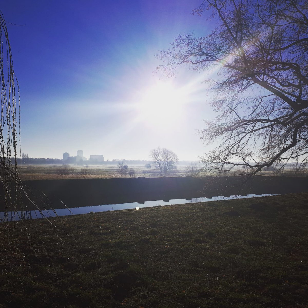 Prachtig uitzicht tijdens mijn fietstocht naar het provinciehuis van Noord-Brabant 😄 Zou het op 10 juni ook zulk mooi weer zijn?