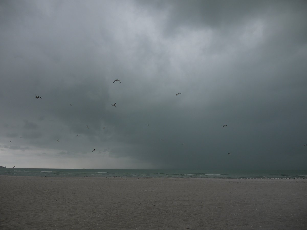 Torlean's tweet image. I said to my soul, be still and wait . . . Wait without thought, for you are not ready for thought: So the darkness shall be the light, and the stillness the dancing.
~T.S. Eliot