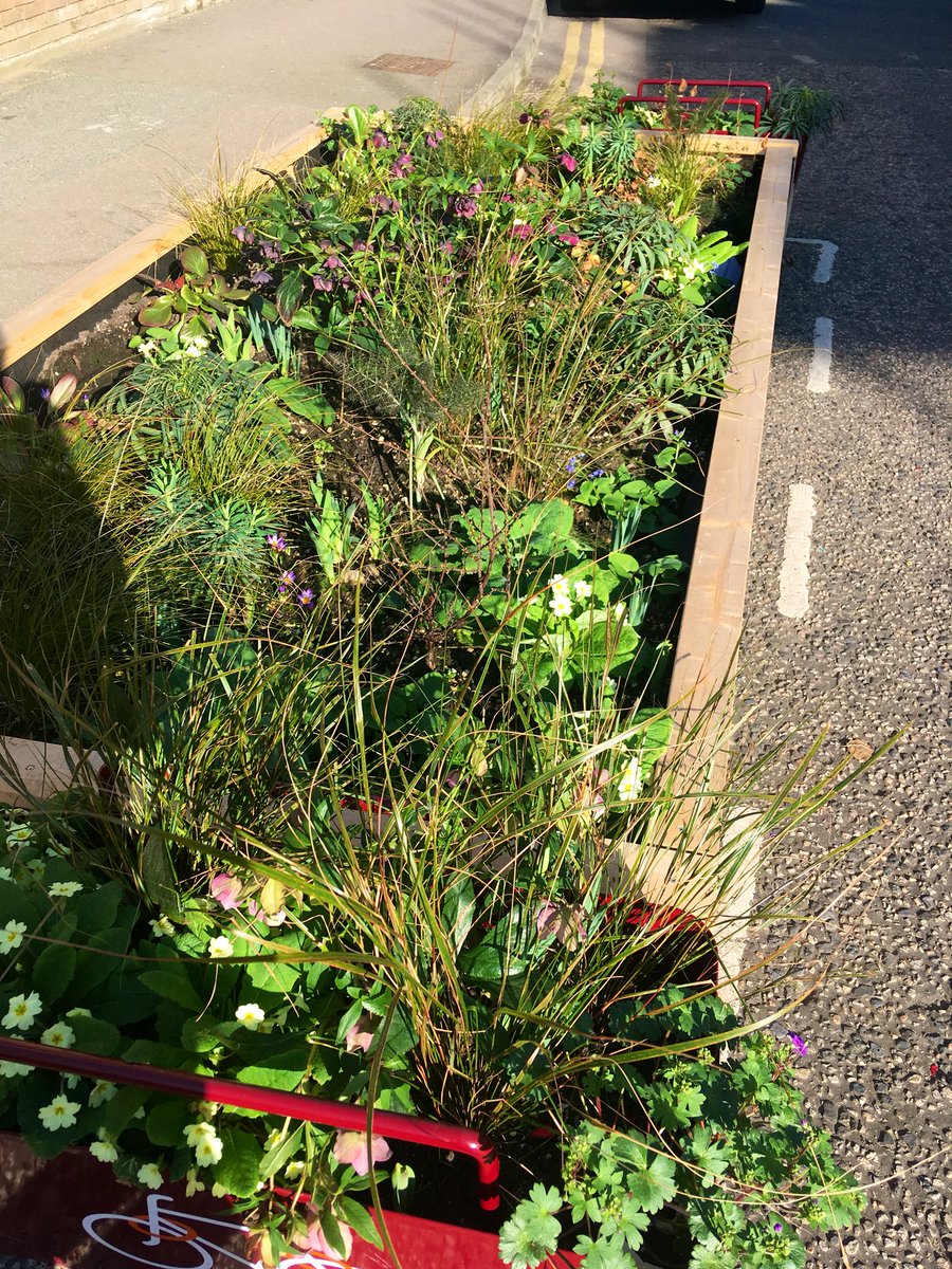 phillybanister's tweet photo. Our Marcon Place parklet says #Spring is here!  

#streetsforpeople #reclaimthestreet #parklets #plants #greytogreen #community #e8 #communityparklets https://t.co/r5pcSnHvdo