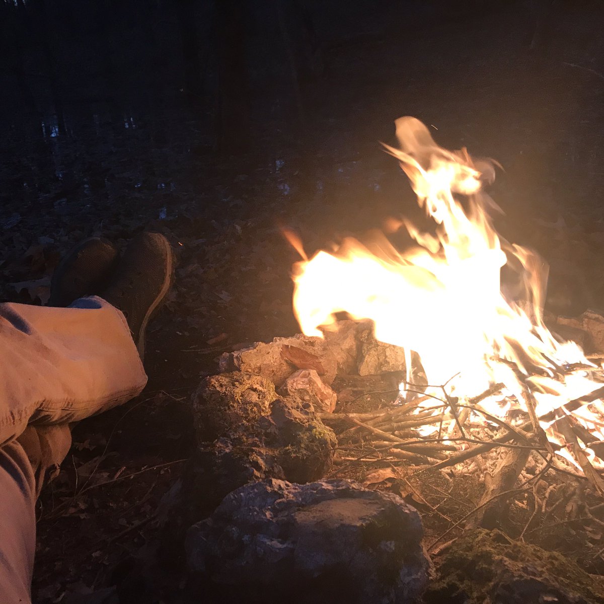 ZachHood9's tweet photo. Tuesday night mood! 🤙🏻   #TakeAHike #getoutside #nature #hikingadventures #Tennessee https://t.co/ihVz5oQ7p5