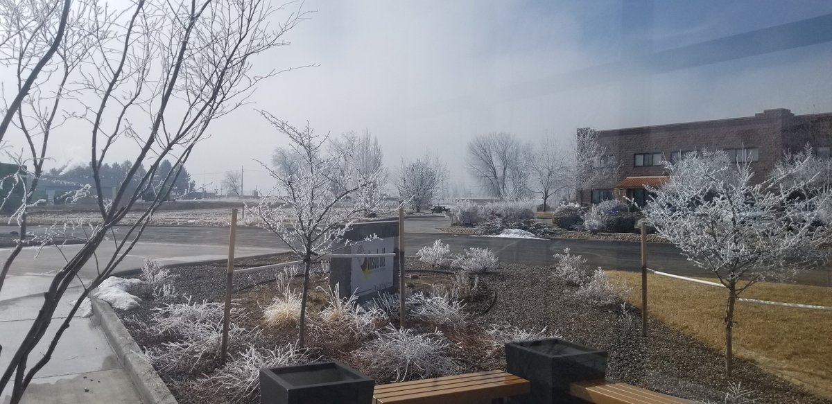 MattInsolroll's tweet photo. Good morning Insolroll Love the freezing fog. https://t.co/fxfAGsIUch