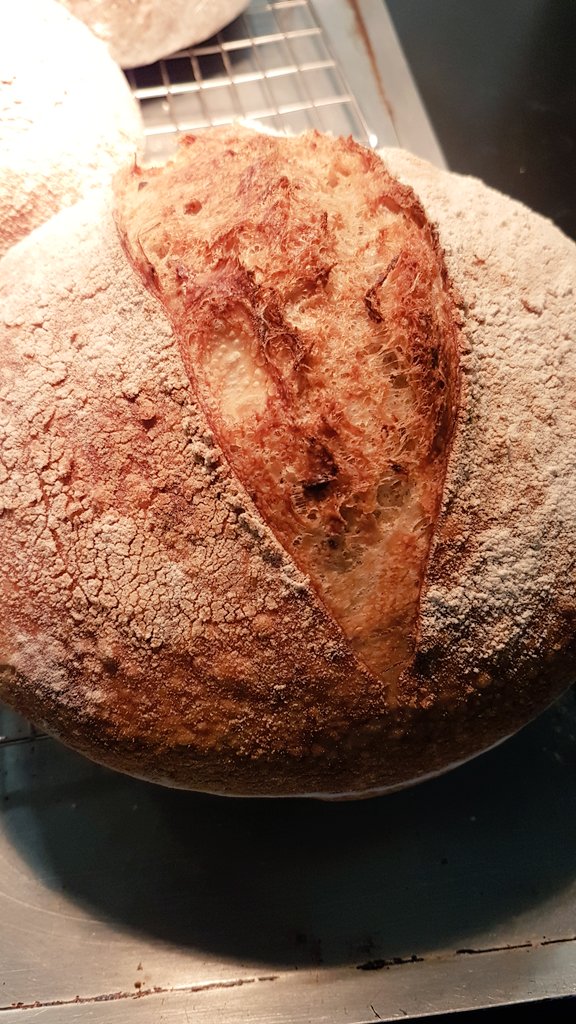 JoeParke8's tweet photo. #RealBreadWeek @RealBread today's #sourdough, a Cotswold Crunch Mild Sourdough using flours from @FWPMatthews. Amazing aroma and texture.
#sourdoughbaker #Realbread #wildyeast #starbistro #nationalstarcollege #realisingaspirations #cheltenham #food #cotswolds #slowbread #slowfood https://t.co/5eZyqbFvyT
