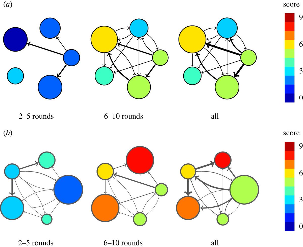 download optimality