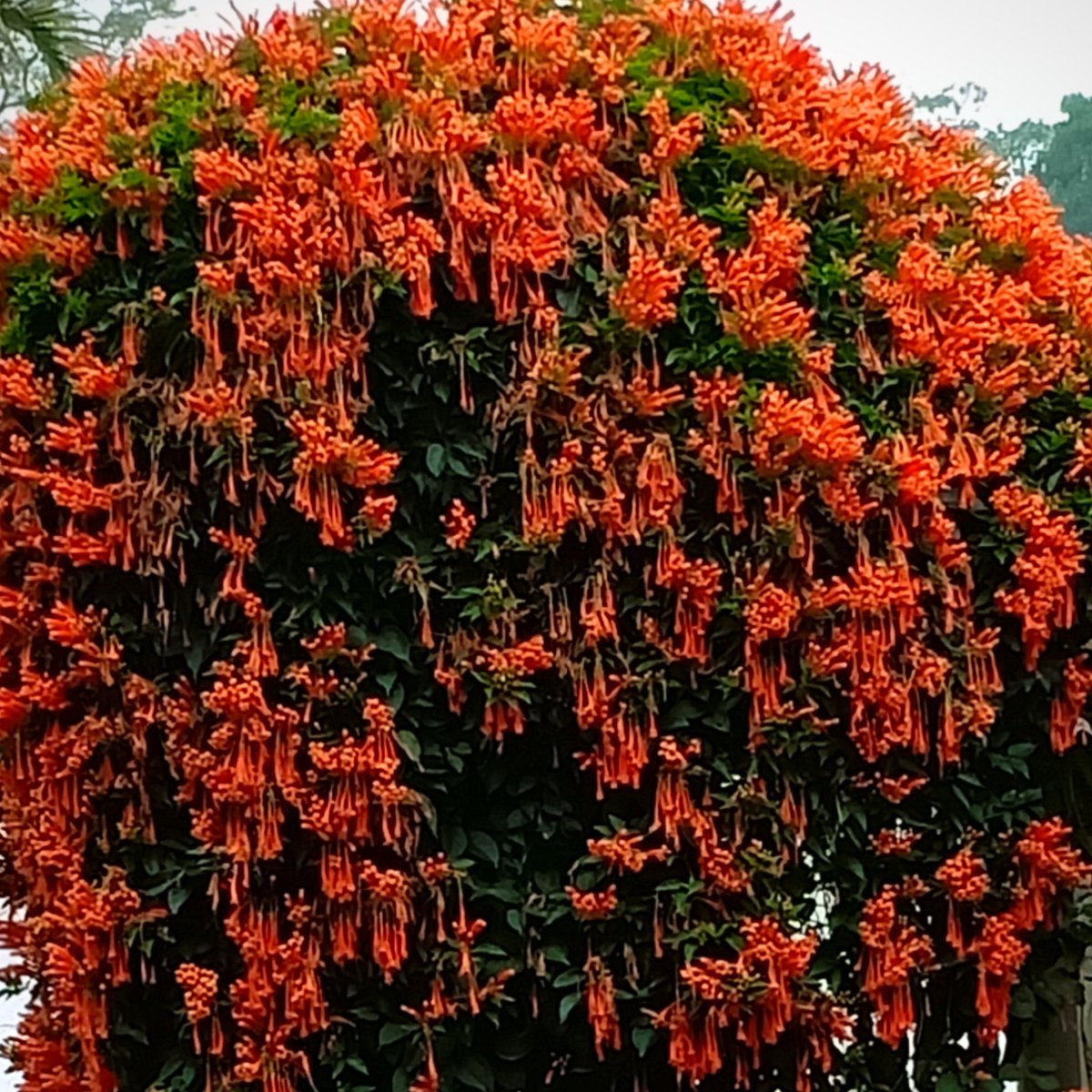 kavya1105's tweet photo. #NewProfilePic https://t.co/cXYIhQ2F3i