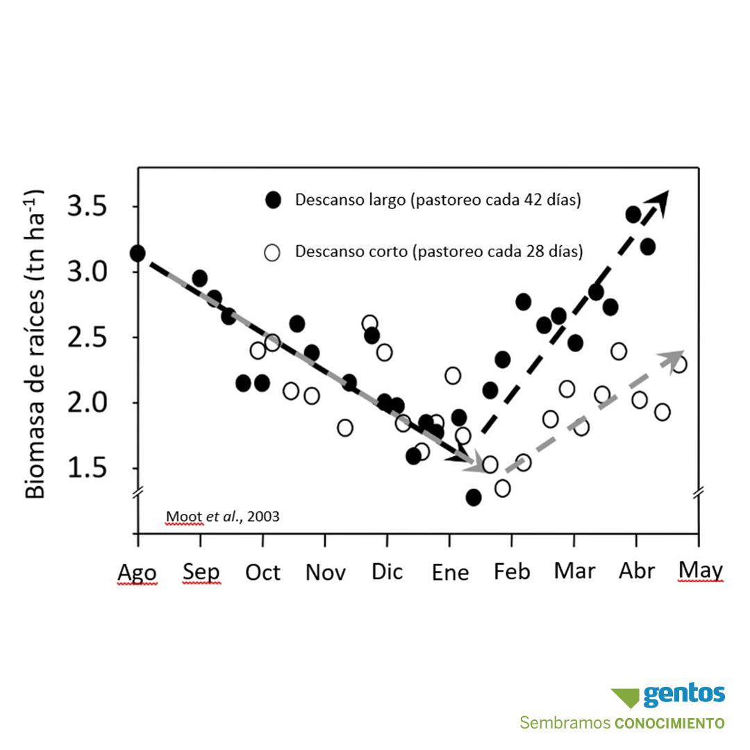 GentosArg's tweet photo. La salida del verano es un buen momento para darle un descanso a tus alfalfas. Fotoperiodos en baja fomentan acumulación de reserva en raíces. Dejá algunas franjas para hacer reservas (40-50% flor) y repetí la operación en todos tus lotes. 
¡Sumarás + persistencia! #GentosTips https://t.co/cNxGyKBgtI