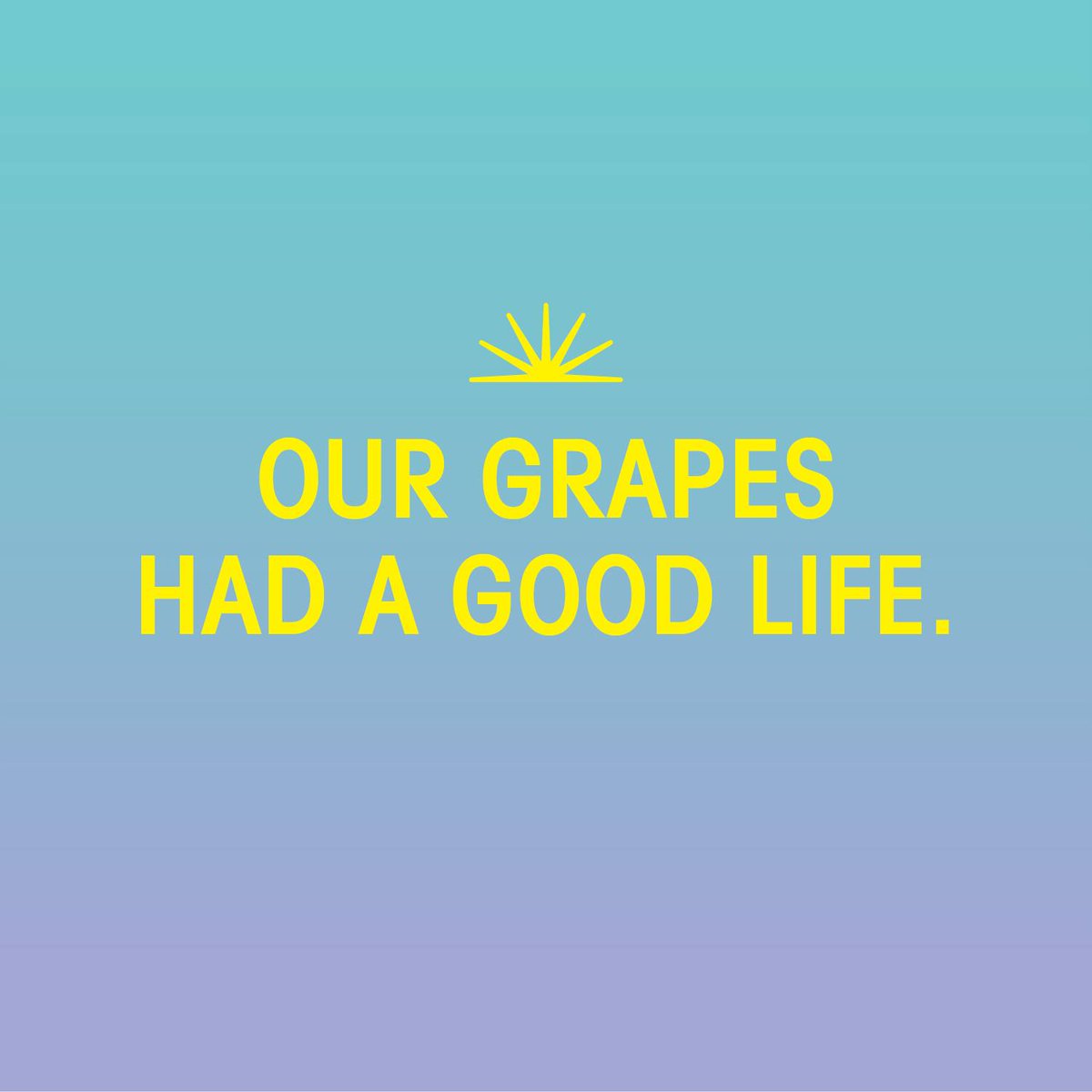 Rest In Pinot 🙏🍇👯‍♀️
.
.
.
.
.
.
#goodlife #unboringwine #wineoclock #flowfreely #pinotgrigio