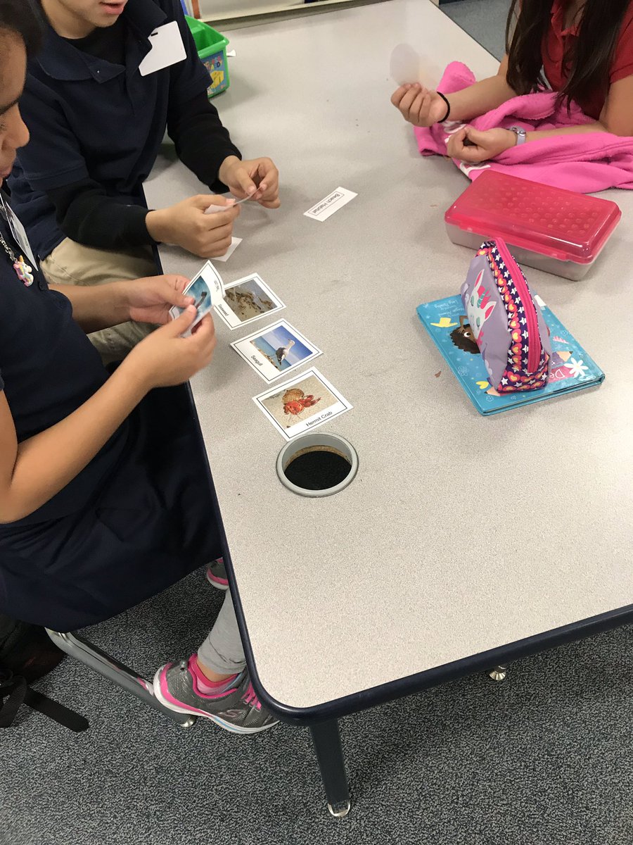 adrip8aboone's tweet photo. Learning about food chains @ReesStars @AliefScience #reesscience #reesRock https://t.co/1VoXF0H4eZ