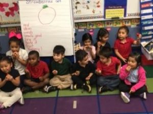 Thanks to Soar in 4 Manatee for sharing our berries with the kids and making sure they had a healthy snack to help them learn better. 
#WeFeedManatee

soarin4.org/2019/02/22/tha…