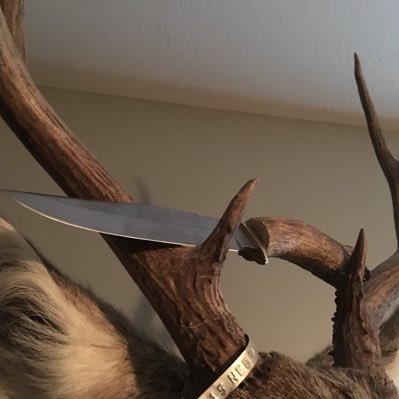 custom_antlers's tweet photo. #NewProfilePic https://t.co/O85ARIYcK8