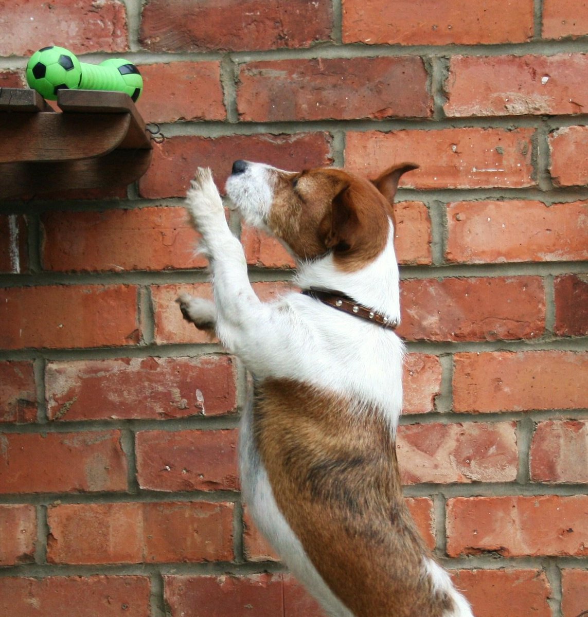 PDCUden's tweet image. Behoefte aan groei? Door aan jezelf doelen te stellen, daag je jezelf uit om succes te behalen. En  succes levert je niet alleen groei, maar ook energie en plezier op. Alleen, hoe pak je dit nou het beste aan? 
PDCU helpt je op weg met deze 5 tips: pdcu.nl/nieuws/5-tips-…