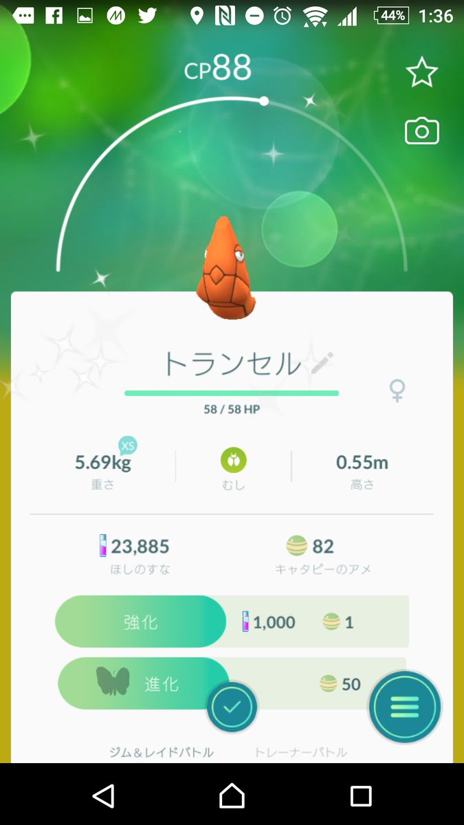 Mayo_naono's tweet photo. 色違い✨ https://t.co/57YxCH9085