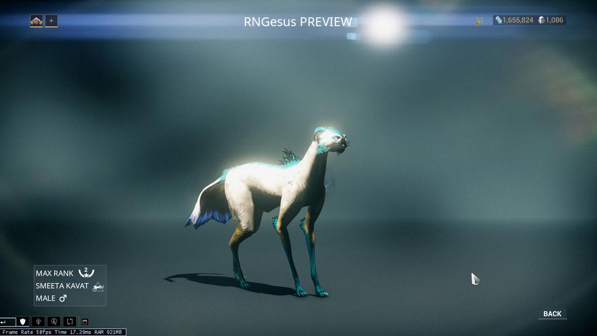 Warframe On Twitter We Actually Removed Pets Dying In Stasis A Few Updates Ago Rngesus Might Still Be Alive And Waiting For You Tenno