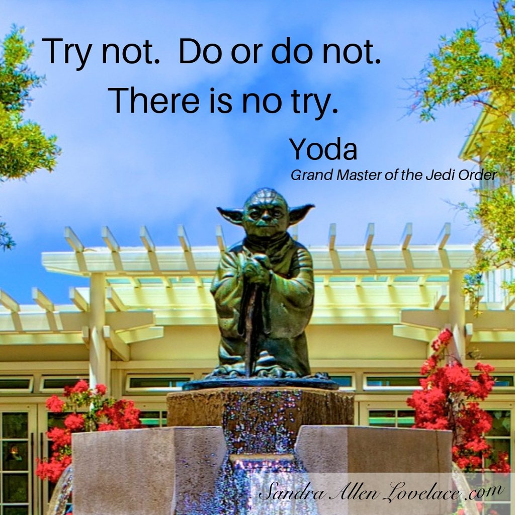 SandraALovelace's tweet photo. Even a Jedi Master can encourage us forward.
Where can you stop trying and simply DO?

#WallflowerWomen #TimeToBeYOU! #amwriting #amspeaking #mentor
#transformationcoach https://t.co/T8bBatFX3a