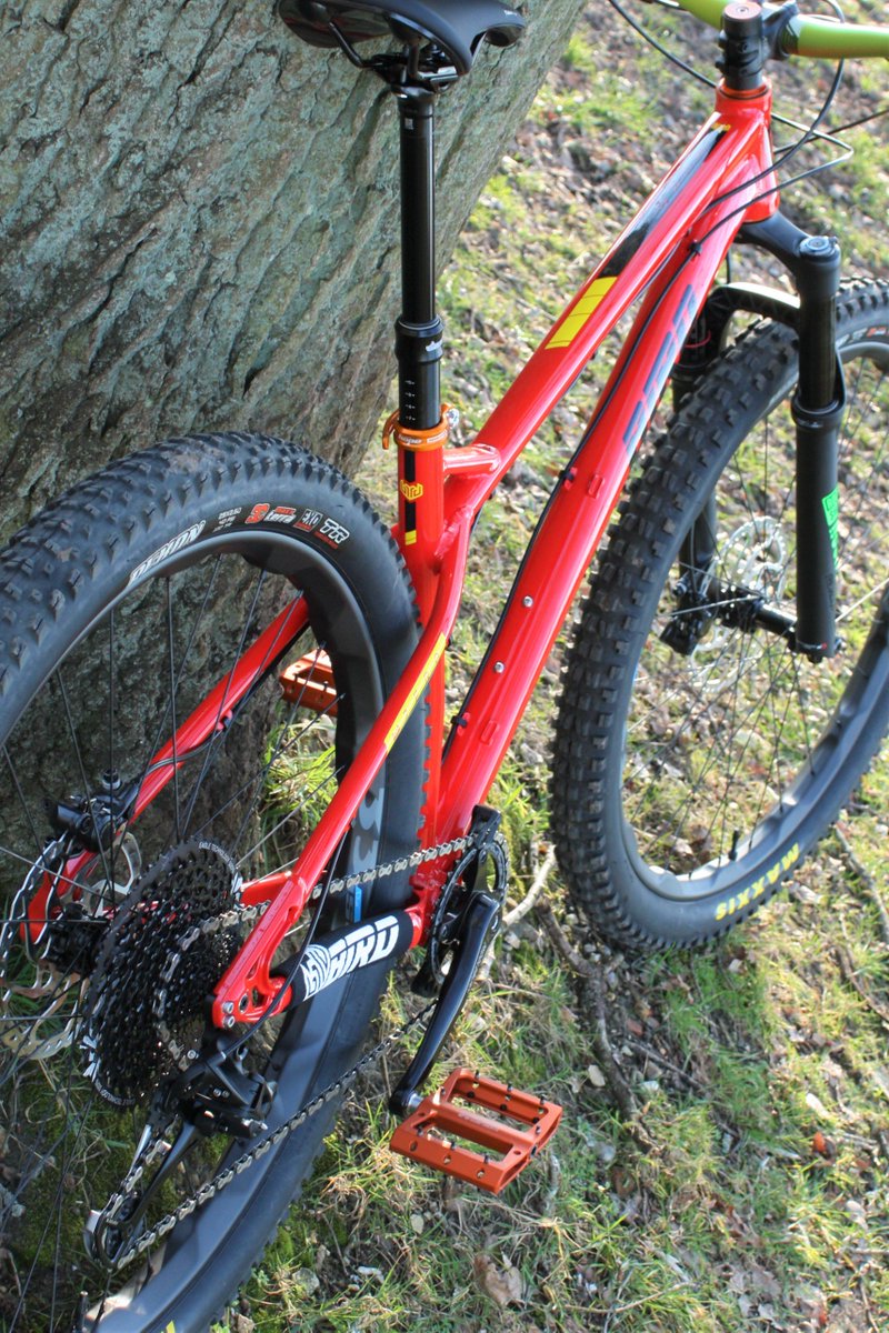 Bird MTB tweet media