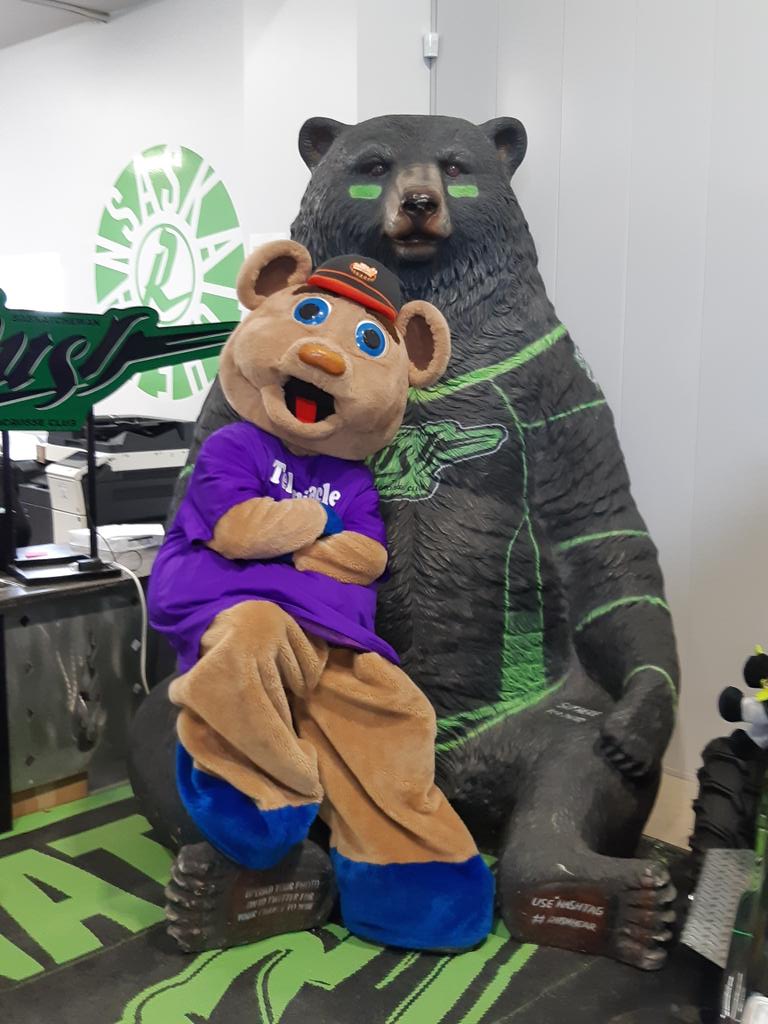 Telemiracle's tweet photo. Teddy hangin' at the @SaskRushLAX store. Rush raising $$ for #TM43 at Sturday night's game #RushBear https://t.co/XY6T4ruv77