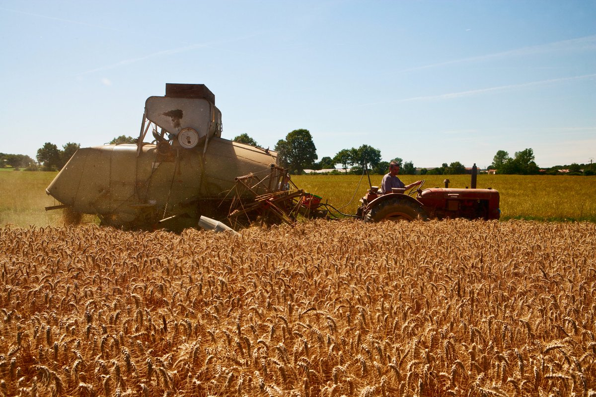 Face au malaise agricole : évolution ou révolution ? 
Jeudi à 7h40, nous recevons Marc Dufumier, ingénieur agronome, professeur honoraire à l'Agroparistech, président de “Commerce équitable France”, et Laure Darfin, agricultrice "Terres de lien", gérante d'une ferme en Côte d’Or.