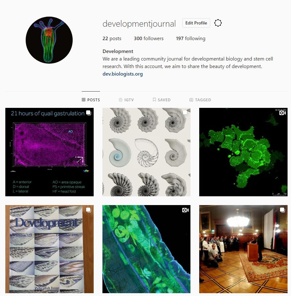 Dev_journal's tweet photo. Two weeks into our Instagram experiment, and 300 followers so far!
Follow us for the beautiful #devbio of our authors
https://t.co/tdkfMiV6dB https://t.co/e5xfGd8rzU