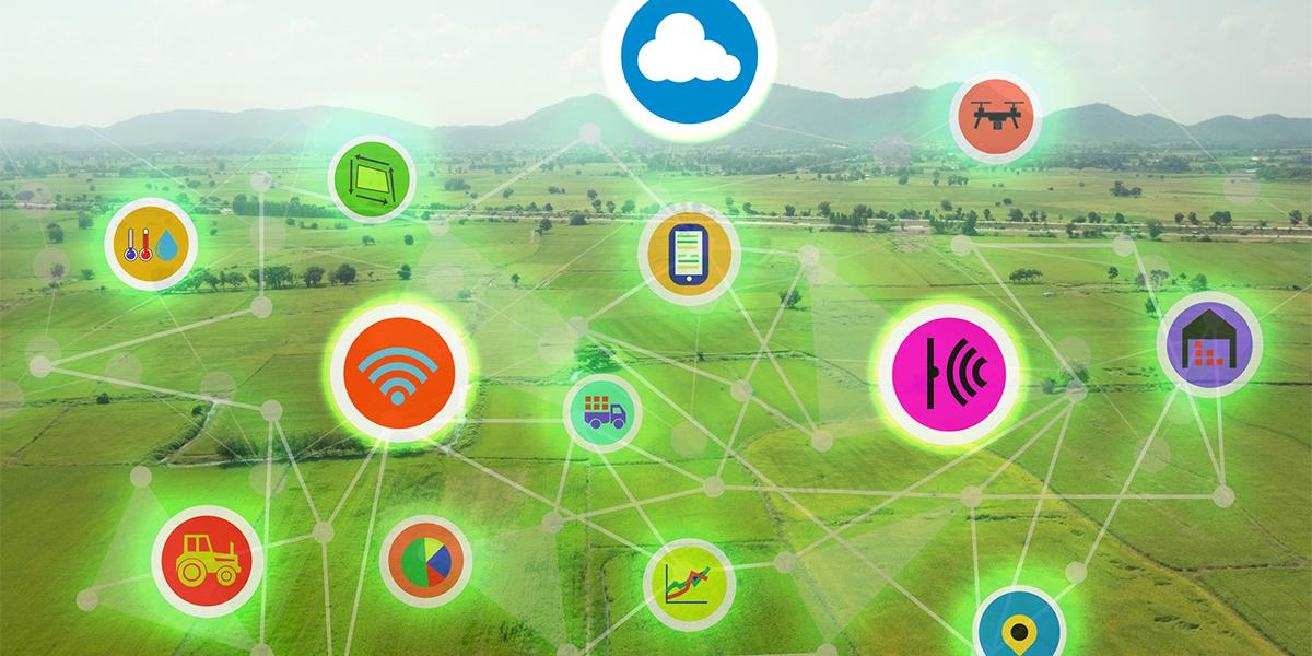 TELUSBusiness's tweet photo. TELUS’ dedicated #LTEM network is a game changer for #IoTinnovation. Find out how #LPWA options differ and how they will enable your #IoT solutions to perform optimally: https://t.co/FYXo6cCLut https://t.co/N4BRjDYwA9