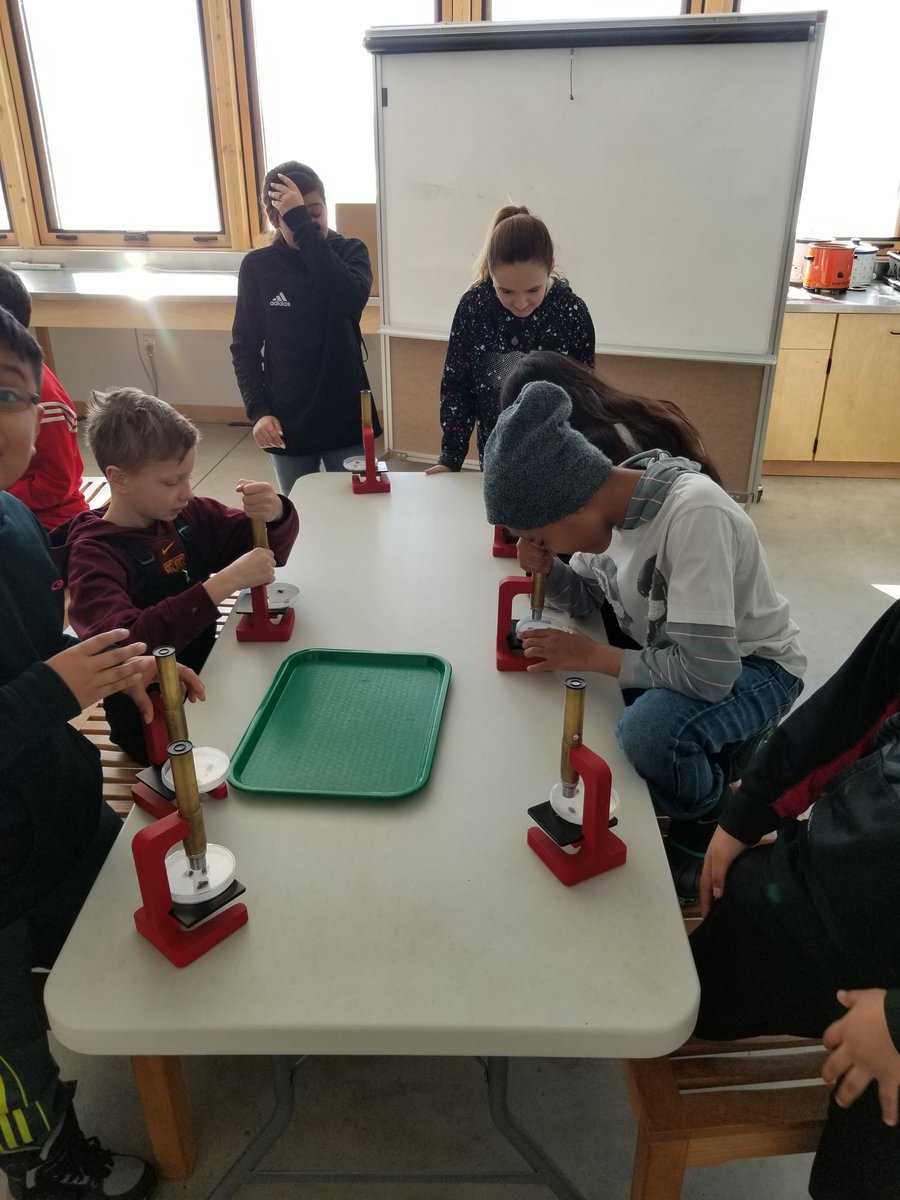 MrDawsonL's tweet photo. #MrDsDynamiteScholars investigating the parts of Honey Bees. #BetterTogetherKEC #SSPpride https://t.co/49mm4JvpRJ