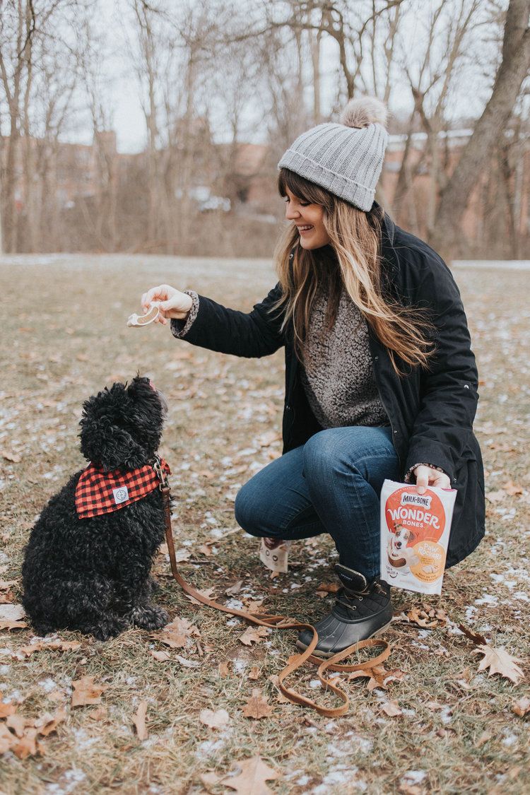 #ad I’ve always given my dogs @milkbone treats and they have some NEW treats: Wonder Bones & GnawBones At @meijer! Tieka from @SelectPotential and her cute pup Winny share the full scoop: actv.at/28d/ 
Photo credit: @SelectPotential #DogsAreMore