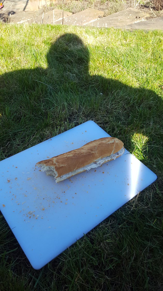 FlexibleVet's tweet photo. 3 dentals at one of my favourite practices, quick picnic lunch in the sunshine and a 9km run to pick up kids from school - not a bad day! #locuming #mytimemyhours #flexiblevet https://t.co/N3Mv0wYaPO