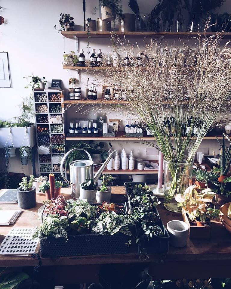 For houseplant care 101, <a href="/botanyshope5/">BOTANY</a>’s ‘Happy Houseplants’ workshop will get you up to speed with all the tips and tricks you need to keep your houseplants happy 😊
