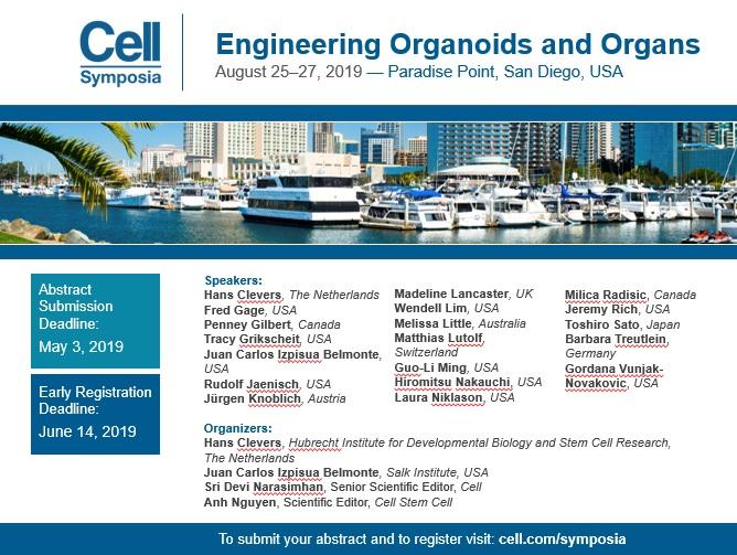 CellPressNews's tweet image. How can advances in bioengineering help overcome limitations in #organengineering?Find out @CellSymposia  #CSOrganoids bit.ly/2St3Pgh