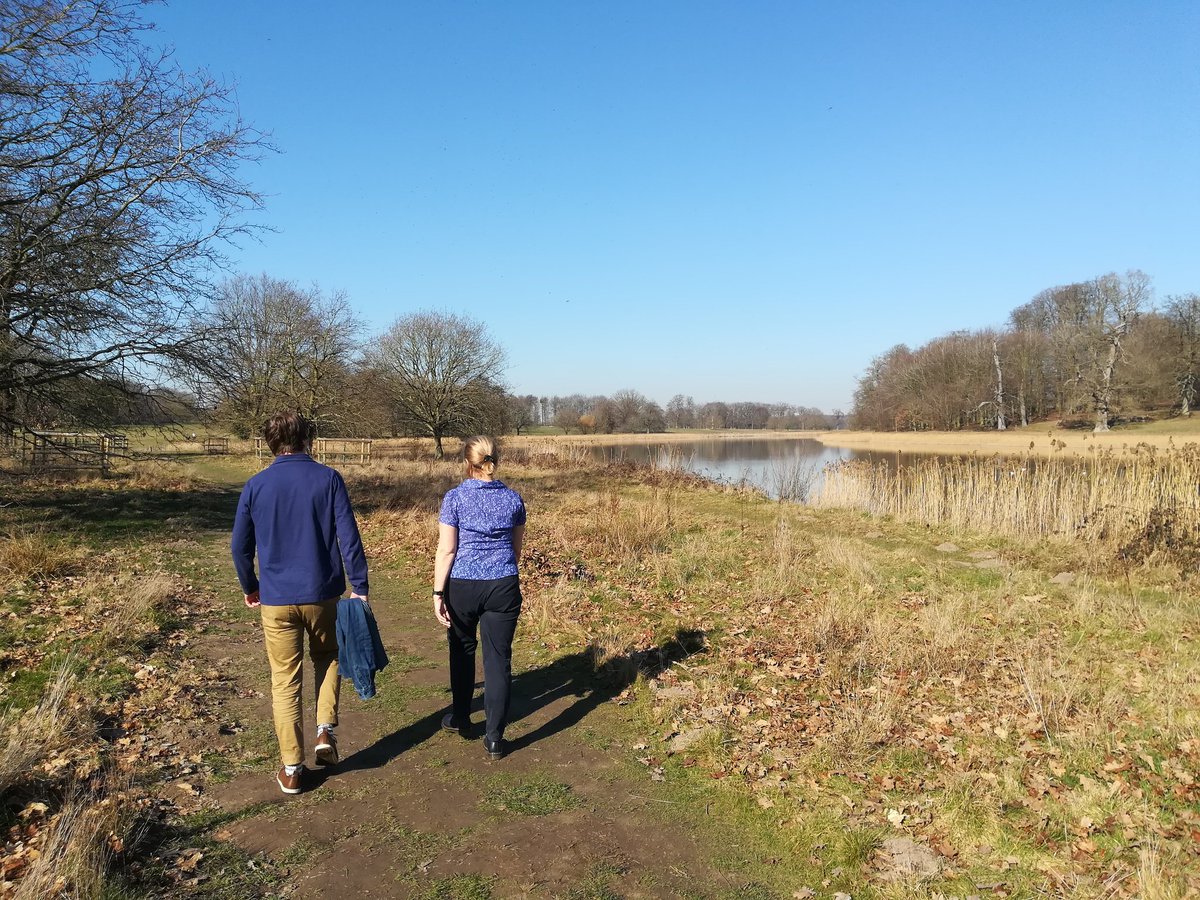 CLDT_North's tweet photo. We will miss this when we move to Kelling Hospital! #lunchtimewalk #wellbeing #break #walking #awayfromdesk #exercise #Integration #NLDT #OT #nursing #admin #S&LT #BlicklingHall @NCHC_NHS @NorfolkCC https://t.co/BQ2wmc5Rq5