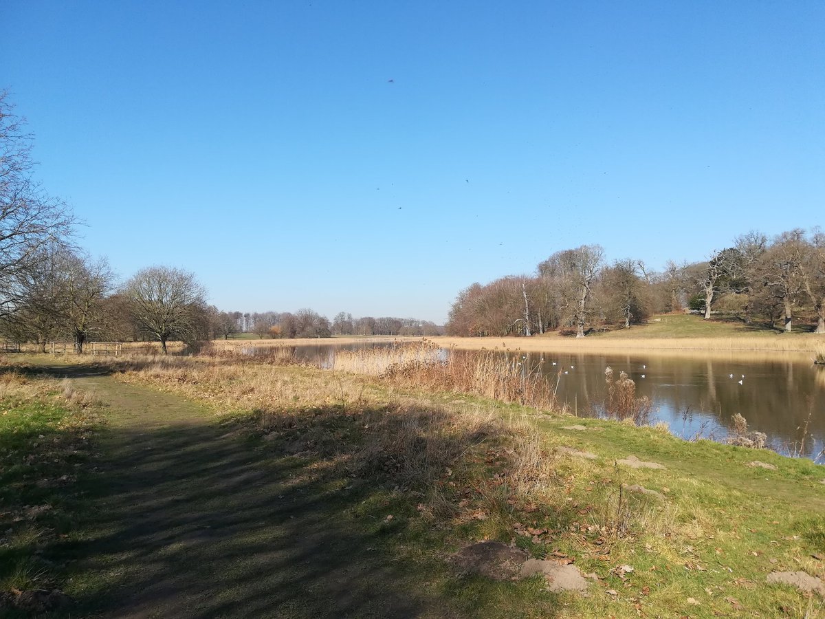 CLDT_North's tweet photo. We will miss this when we move to Kelling Hospital! #lunchtimewalk #wellbeing #break #walking #awayfromdesk #exercise #Integration #NLDT #OT #nursing #admin #S&LT #BlicklingHall @NCHC_NHS @NorfolkCC https://t.co/BQ2wmc5Rq5