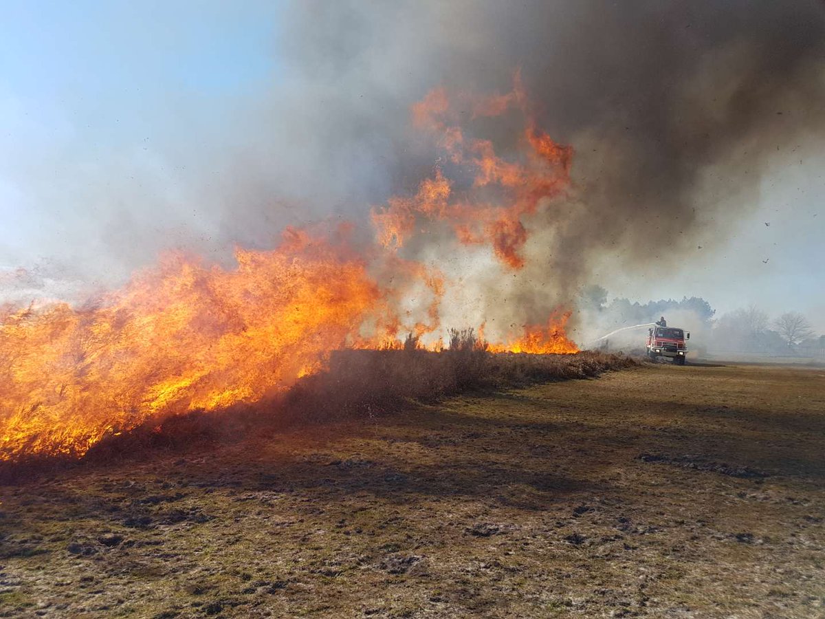 Les sapeurs pompiers de #LotetGaronne préparent la saison feux de forets #FDF
Le Colonel Queyla, chef de corps, assiste à la manœuvre du stage FdF1.