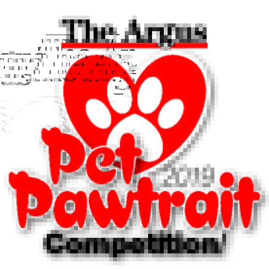 ArgusComps's tweet photo. Afternoon! Have you sent us your Pet Pawtrait entries yet? You haven't got long left to send us your pictures - the best will be up for public vote on WEDNESDAY 6TH MARCH. https://t.co/EzG8rfaSTV