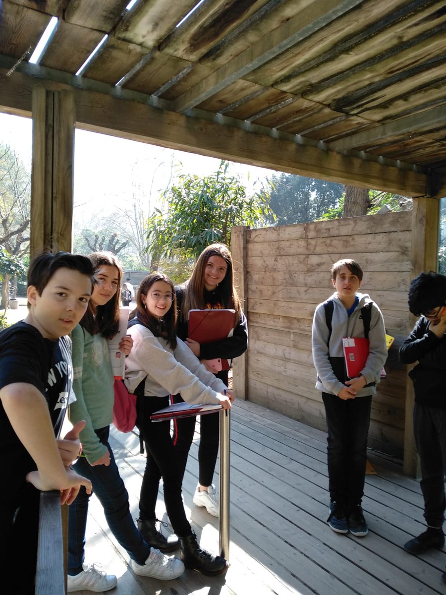 PadreDamianSSCC's tweet photo. #expediciobarcelona de #1resopd ha visitat avui el @zoo_bcn i ha pogut aprendre molt sobre 🐪🦒🦏🐘🐧🦁🦍🦓🦔🦚! Ben aviat ho compartiran amb #expediciovalencia ! #4diesxveuremon #projecteterra https://t.co/3SsK1GywcA