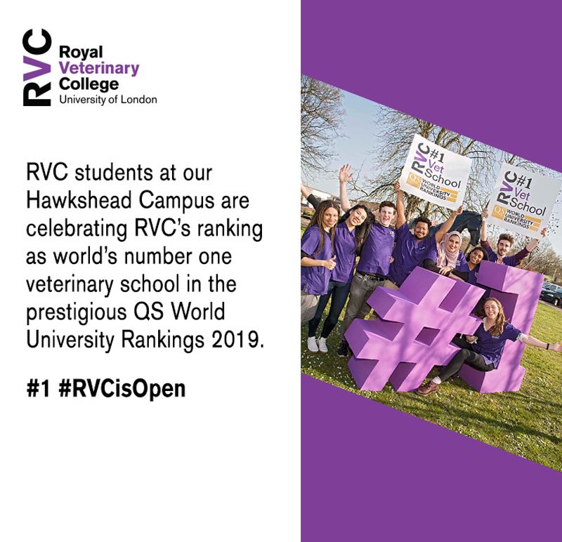 RoyalVetCollege's tweet photo. RVC students at our Hawkshead Campus are celebrating RVCโs ranking as worldโs number one veterinary school in the prestigious QS World University Rankings 2019. #1 #RVCisOpen
Find out more at: https://t.co/Ae77qDrrop https://t.co/cz0OdOXXlP