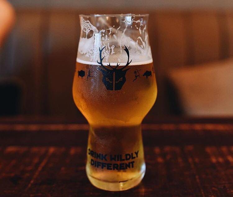 WBJessopHouse's tweet photo. Who’s getting the beers in tonight then? 🍻☀️🎉 #HappyHumpDay https://t.co/KbfsnHPvQs