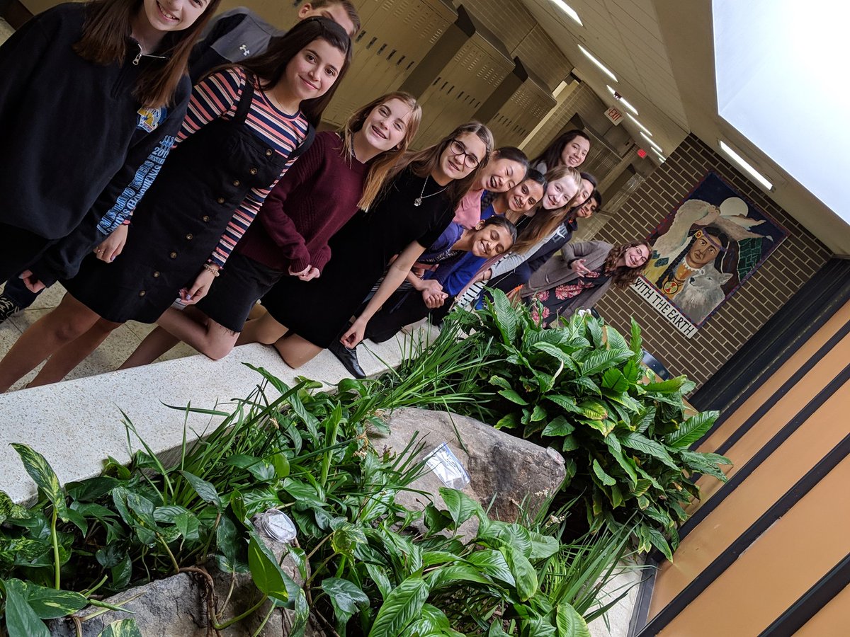 SperaUMSSciecne's tweet image. The bare necessities of life! Students were given a pea and had to research the necessities to grow and designed an experiment. #inquiryscience #CBSDScience @CBUnamiMS