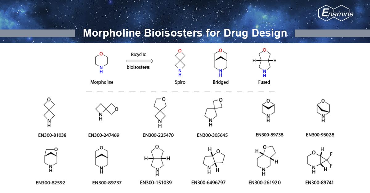 EnamineLtd's tweet photo. Morpholine Bioisosteres for Drug Design. Read more about the design and available scaffolds for immediate ordering from Enamine https://t.co/kn8hXxQ0qp.

#Enamine #medchem #morpholine #drugdesign https://t.co/LFhKZuPXVg