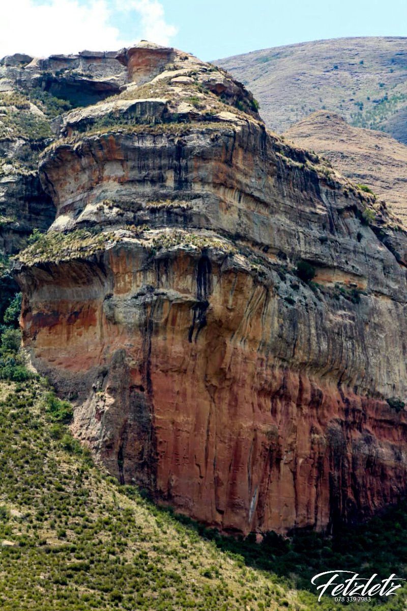 Fetzletz1's tweet photo. Fetzletz :

Contact Morobi:

O783397983 

Location :Goldengate Hights
Free State https://t.co/m9wfc0B96o