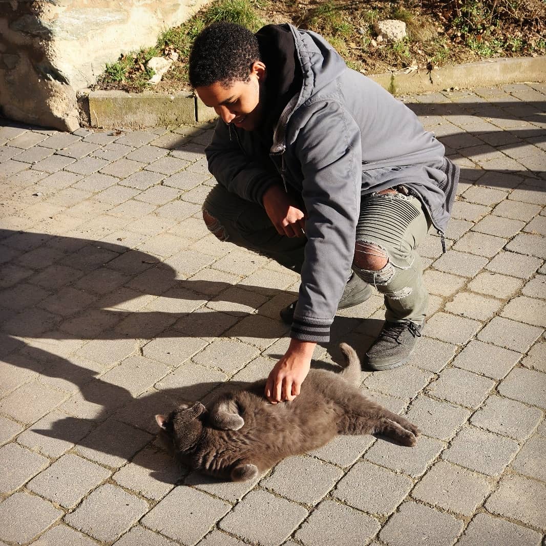 DYREFOfficial's tweet photo. Hatte die Woche ein spontanes Treffen mit Whiskas mit
.
. 
#black #cat #love #nature #outdoor #outside
#producer #flstudio #fruityloops #studio #electronic #dance #music #love #dyref #life #headphones #mixer #mixing https://t.co/m81sQemiKJ