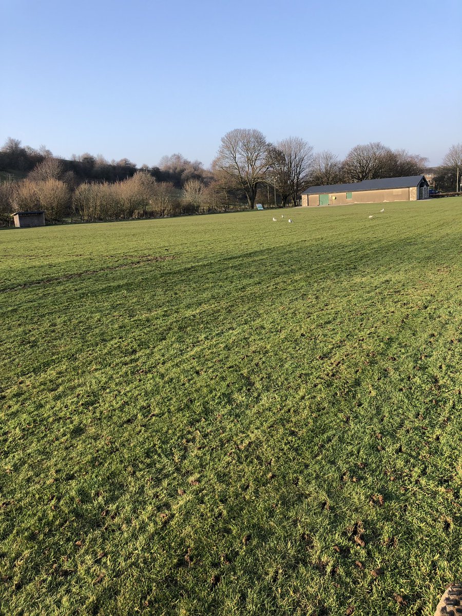 1Coopster's tweet image. Getting the pitch prepared for saturday’s big semi-final 💛💙 
#aerating 
#firstcut
#rolling
#greenfiger 
#KUFC