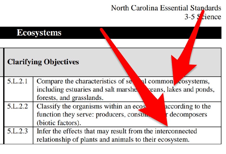 KyleHamstra's tweet photo. "If an ocelot eats fish, then my habitat needs water, too. π€ Do cats go in water? I know cats don't live in fences. Built that to keep it safe from predators, but there are secret holes to escape." Objectives #sci4L11/#sci4L12 align with #sci5L21/#sci5L23. #ddestem #MinecraftEdu https://t.co/NCLV1pdJFG