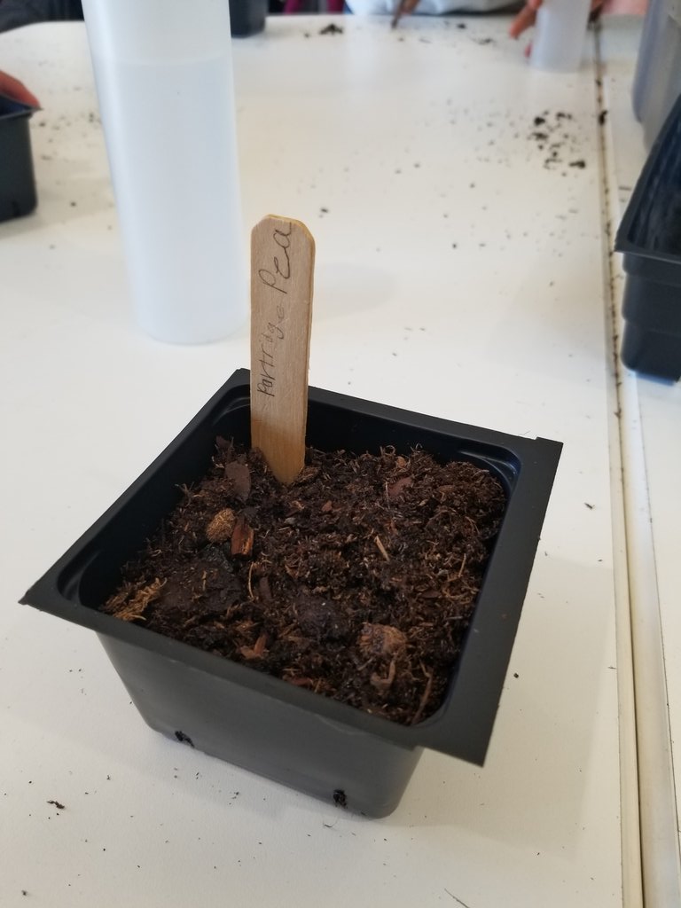 MrDawsonL's tweet photo. #MrDsDynamiteScholars learning about pollinators and how to take care of their plants at home. #BetterTogetherKEC https://t.co/aG257818yF
