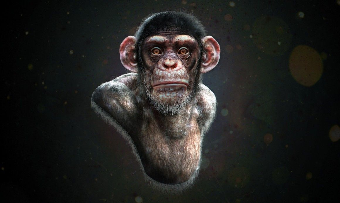 Primate Sculpt: \